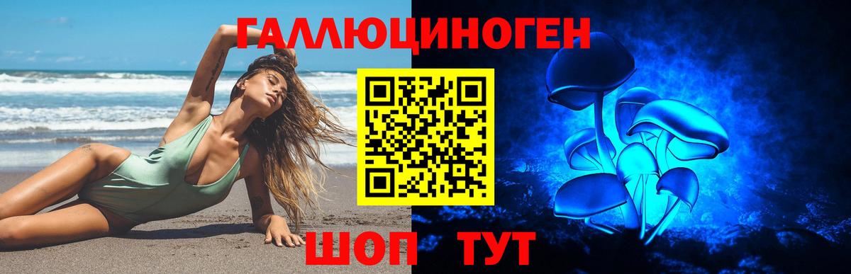 Сегежа  Псилоцибиновые грибы Psilocybe  Вход с VPN 