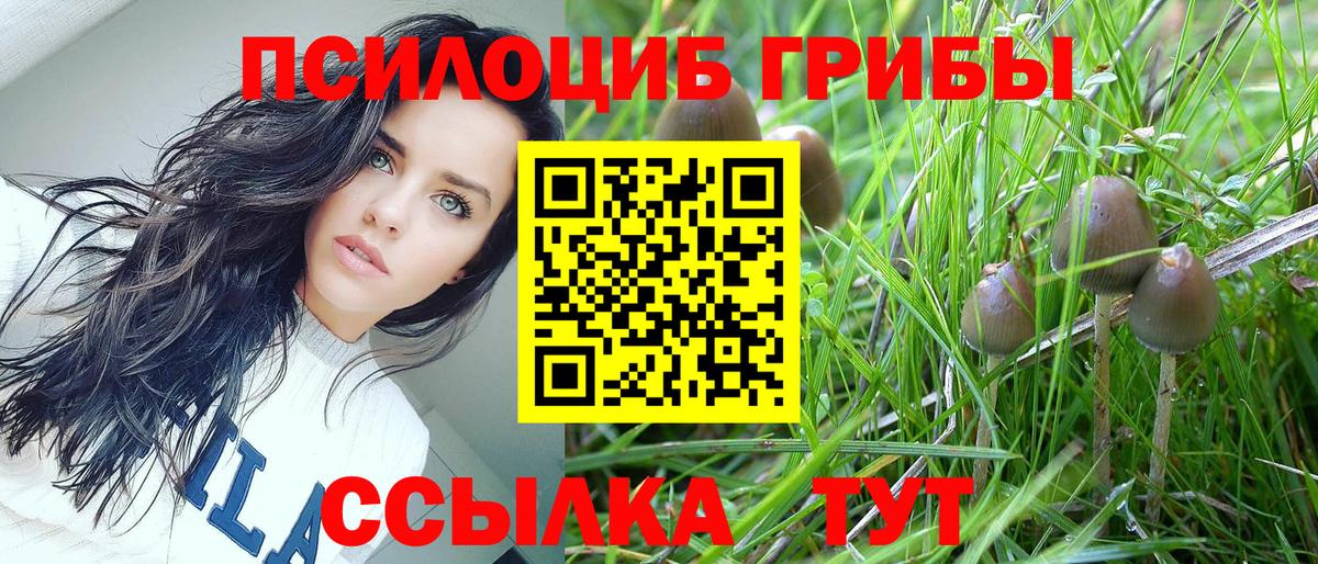 Галлюциногенные грибы мухоморы Сегежа
